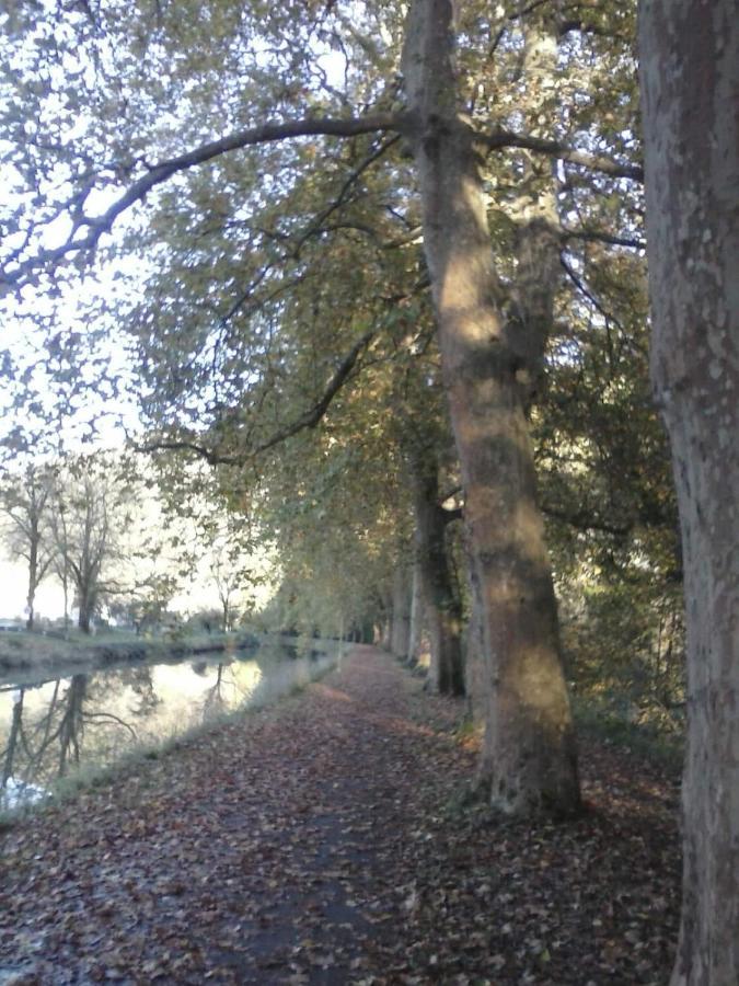 Gite 3 Etoiles "Entre Sources Et Riviere" Besancon Vaire-le-Grand 外观 照片
